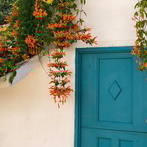 3 Dec 2024 - 12:39 by Kelly