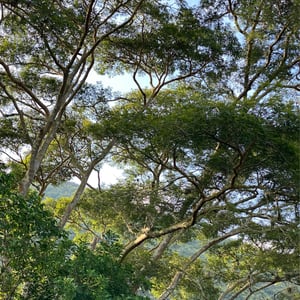 5 Dec 2024 - 08:40 by Kelly