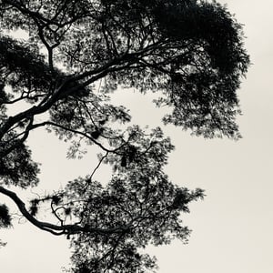 5 Dec 2024 - 08:40 by Kelly