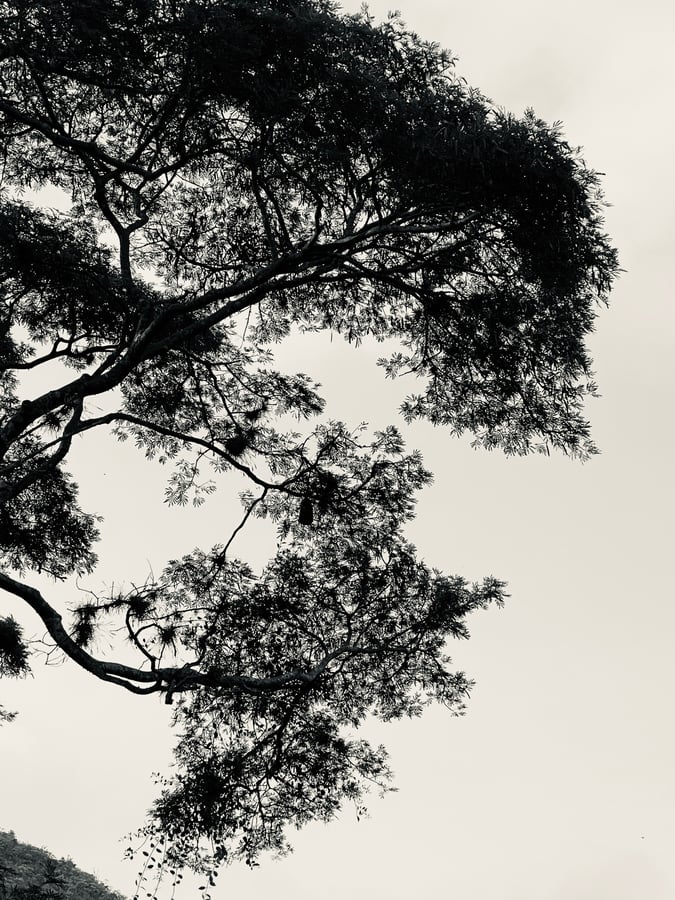 5 Dec 2024 - 08:40, Colombia