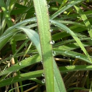 5 Dec 2024 - 08:40 by Kelly