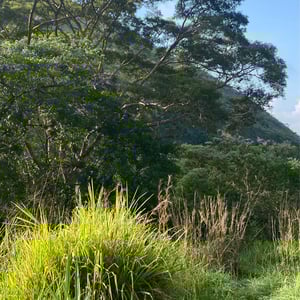 5 Dec 2024 - 08:40 by Kelly