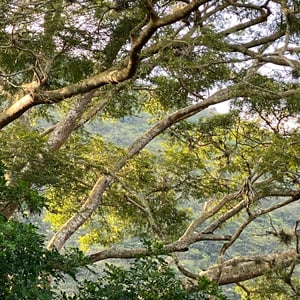 5 Dec 2024 - 08:40 by Kelly