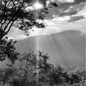 7 Dec 2024 - 09:57 by Kelly