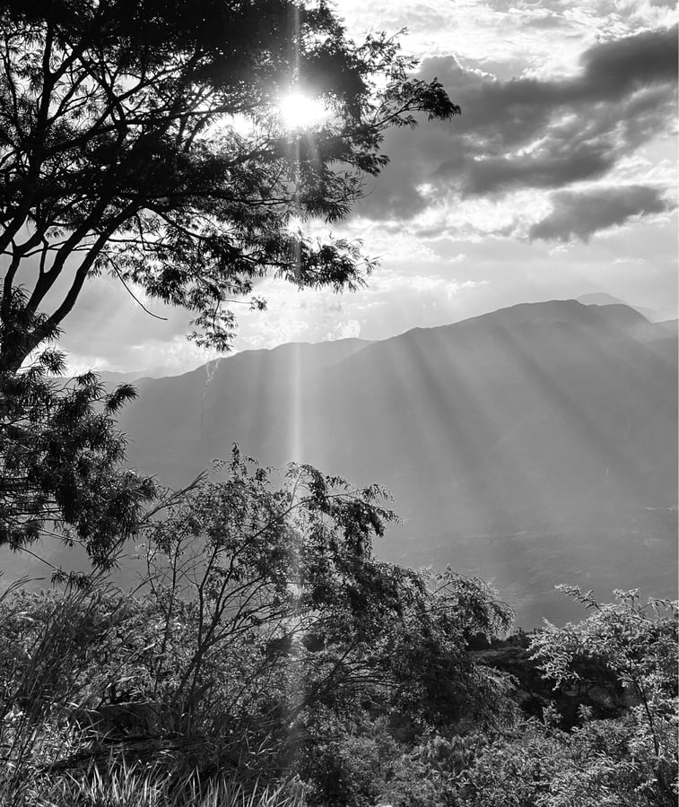 7 Dec 2024 - 09:57, Colombia