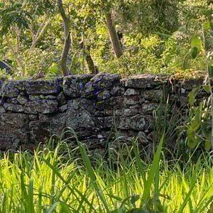 7 Dec 2024 - 09:57 by Kelly