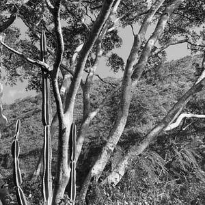 7 Dec 2024 - 09:57 by Kelly