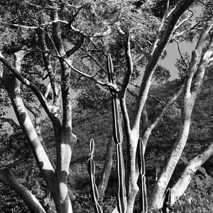 7 Dec 2024 - 09:57 by Kelly