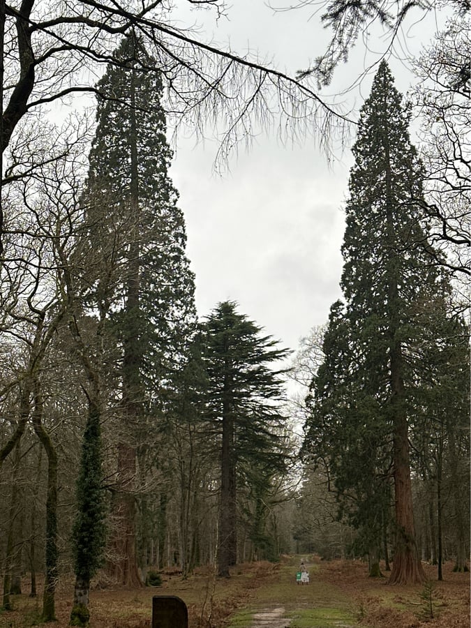 11 Dec 2024 - 13:54, England