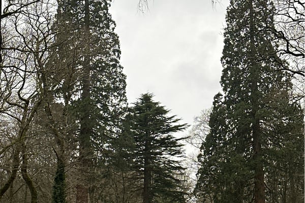 Ireland To Home.