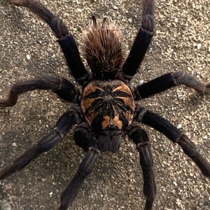 11 Dec 2024 - 09:49 by Kelly