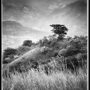 15 Dec 2024 - 17:15 by Kelly