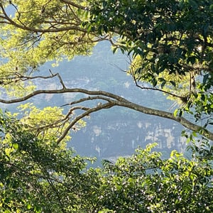 15 Dec 2024 - 17:15 by Kelly