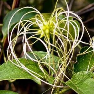 15 Dec 2024 - 17:15 by Kelly