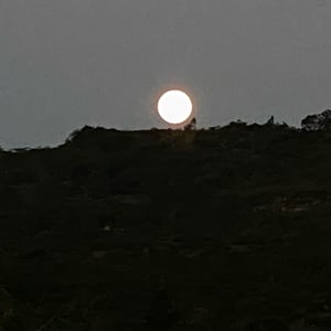 15 Dec 2024 - 17:15 by Kelly