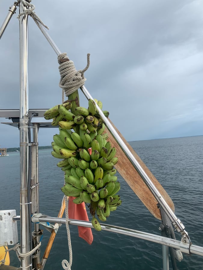 Bocas Del Toro | Surf, Work, Relax, Panamá