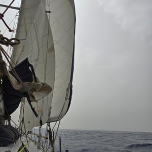 3 Sails Open by David