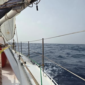 Bon Dia! Fog Is Gone And 🌞 Is Back by David