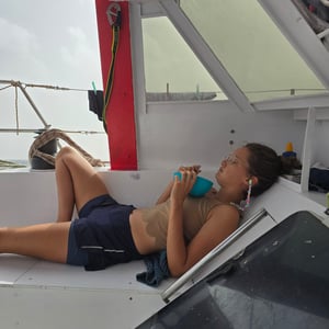 Bon Dia! Fog Is Gone And 🌞 Is Back by David