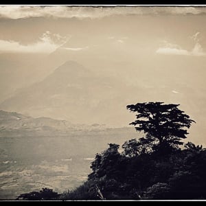 20 Dec 2024 - 13:06 by Kelly