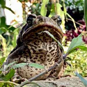 20 Dec 2024 - 13:06 by Kelly