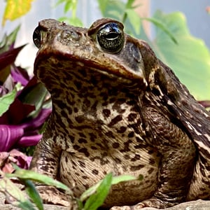 20 Dec 2024 - 13:06 by Kelly