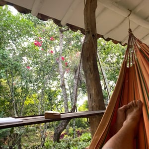 20 Dec 2024 - 13:06 by Kelly