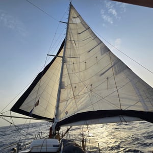 Washing Day And Beautiful Sunset by David