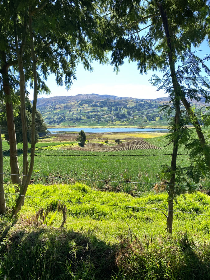 24 Dec 2024 - 10:44, Colombia