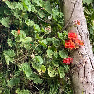 24 Dec 2024 - 10:44 by Kelly