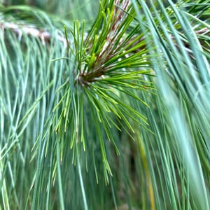 24 Dec 2024 - 10:44 by Kelly