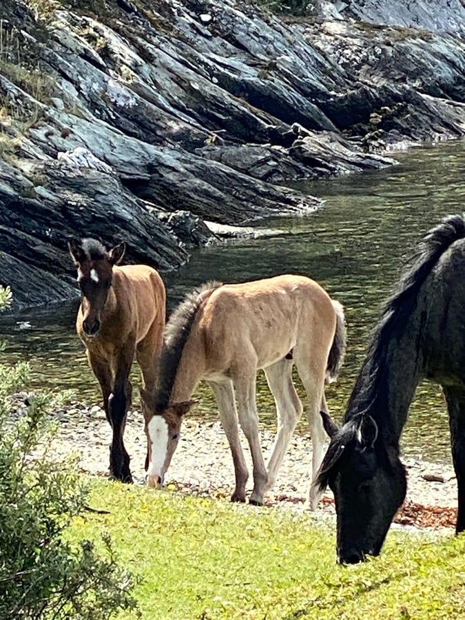 Ushuaia, Argentina