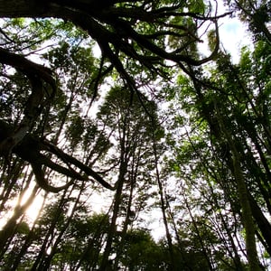 Still exploring Patagonia. But prices ar by Kelly