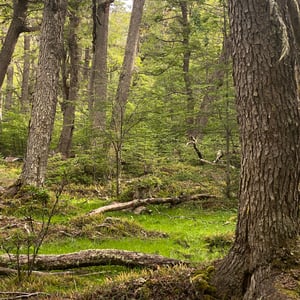 Still exploring Patagonia. But prices ar by Kelly