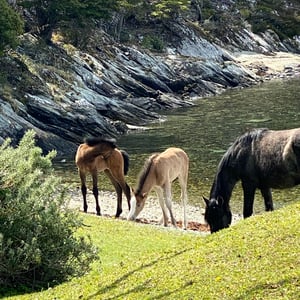 Still exploring Patagonia. But prices ar by Kelly