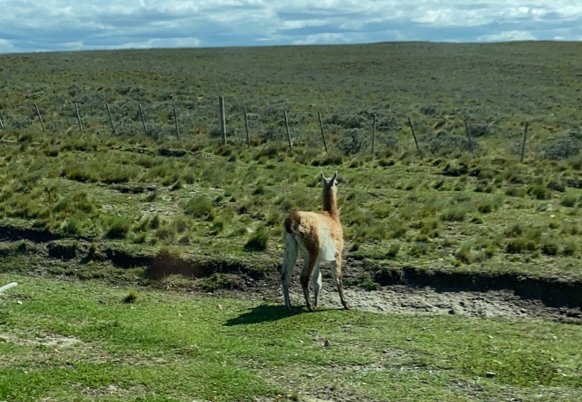 Arriving To Punta Arenas From Ushuaia, Chile