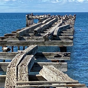 Arriving To Punta Arenas From Ushuaia by Kelly