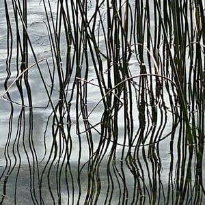 My Last Day Around Lake Tota by Kelly