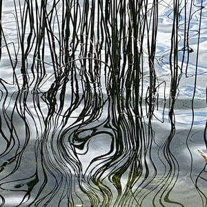 My Last Day Around Lake Tota by Kelly