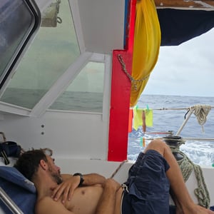 Fast Winds To The Island by David