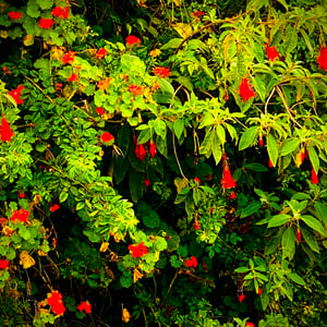 28 Dec 2024 - 14:26 by Kelly