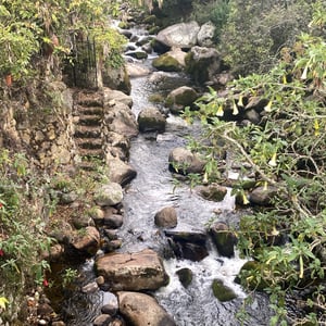 28 Dec 2024 - 14:26 by Kelly