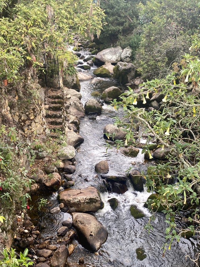 28 de diciembre de 2024 - 14:26, Colombia
