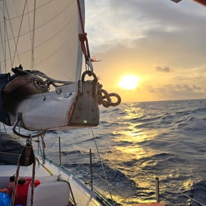 Skippers Birthday 🎂 And One More Day by David