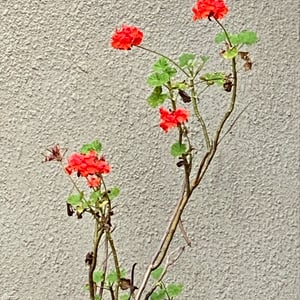 4 Jan 2025 - 00:07 by Kelly