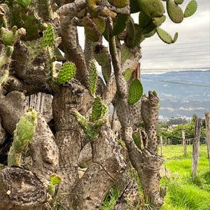 4 Jan 2025 - 00:07 by Kelly