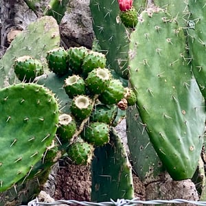 4 Jan 2025 - 00:07 by Kelly