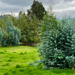 4 Jan 2025 - 00:07 by Kelly