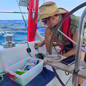 Weather Is Great - Nothing Exciting by David