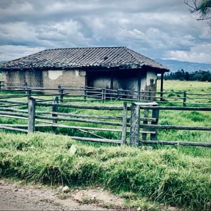 4 Jan 2025 - 13:08 by Kelly